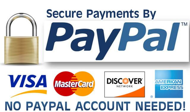 PayPal Payment